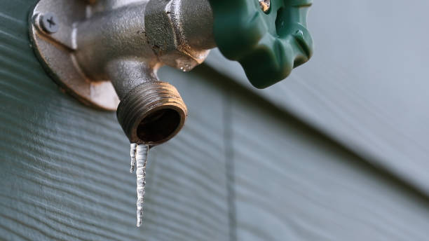 Best Plumbing Services Near Me  in Williamsport, MD